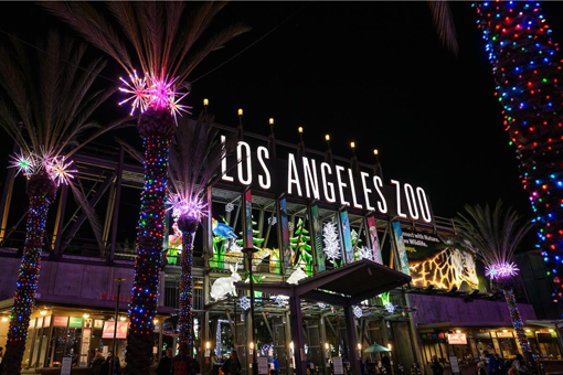 ZOO LIGHTS