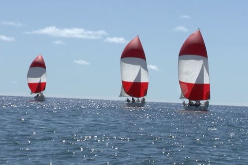 HARBOR CUP