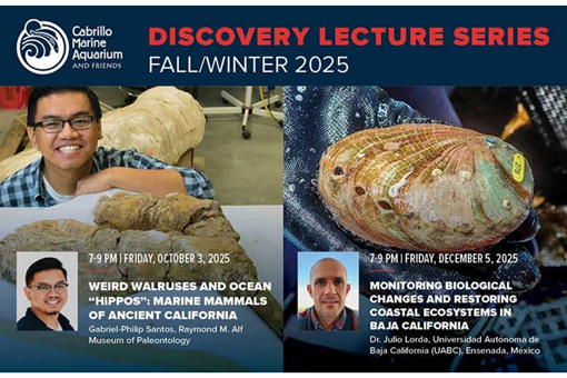 DISCOVERY LECTURE SERIES