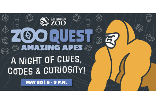 LA ZOO QUEST