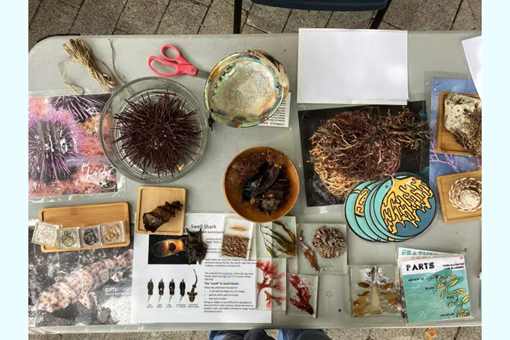 NATURE JOURNALING