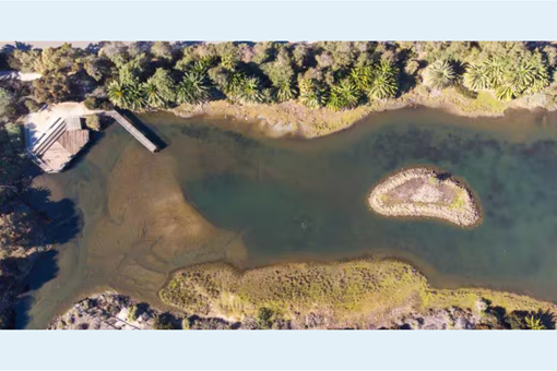 SALT MARSH OPEN HOUSE