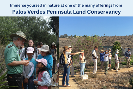 NATURE AND LEARNING ACTIVITIES