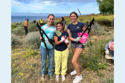 VOLUNTEER WITH PVPLC