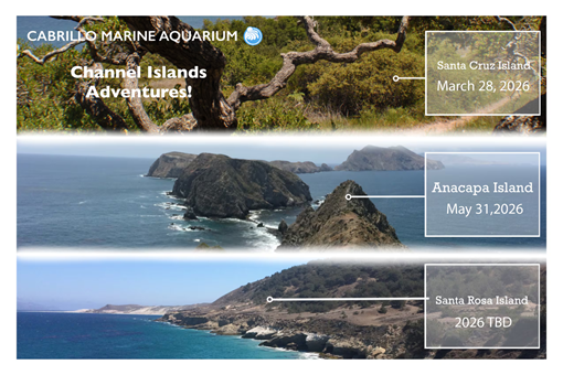 CHANNEL ISLANDS ADVENTURES