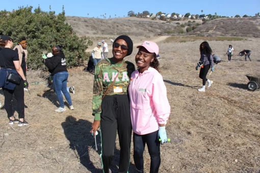 MLK JR. DAY OF SERVICE