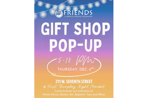 GIFT SHOP POP-UP