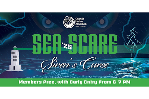 SEA SCARE