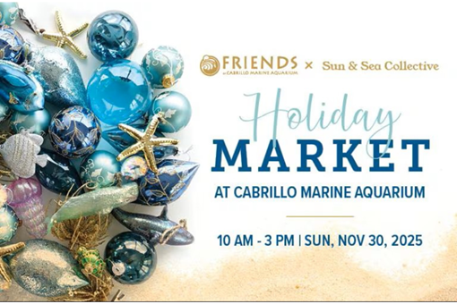 HOLIDAY MARKET