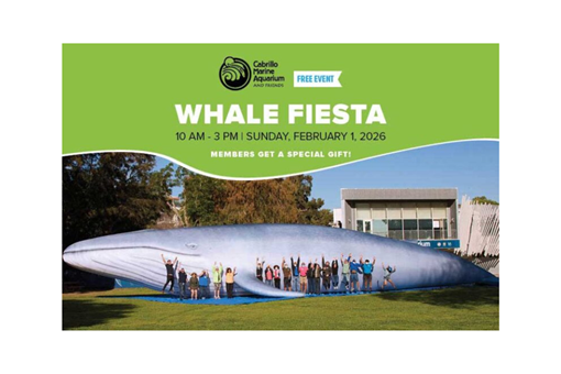 WHALE FIESTA