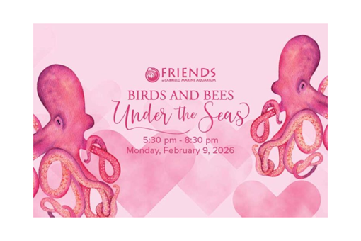 BIRDS AND BEES UNDER THE SEAS