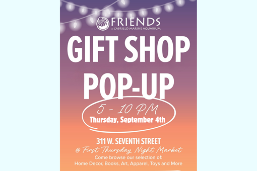 GIFT SHOP POP-UP