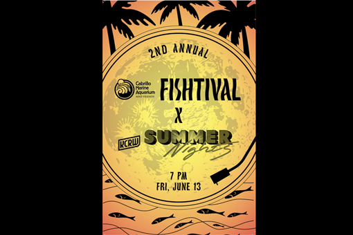 FISHTIVAL X SUMMER NIGHTS